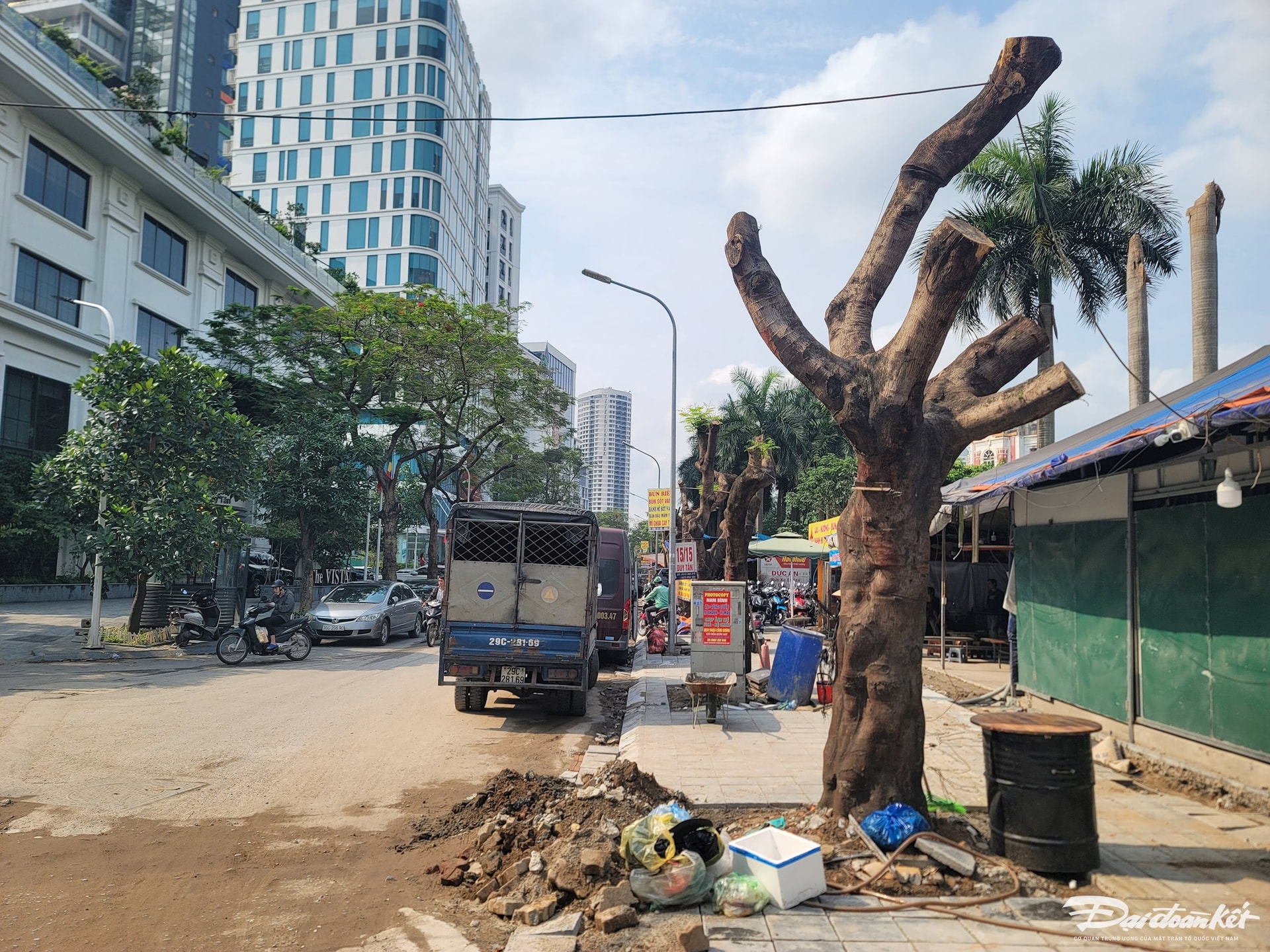 Loạt cây xanh ở Hà Nội bị cắt ngang thân vào mùa nắng nóng