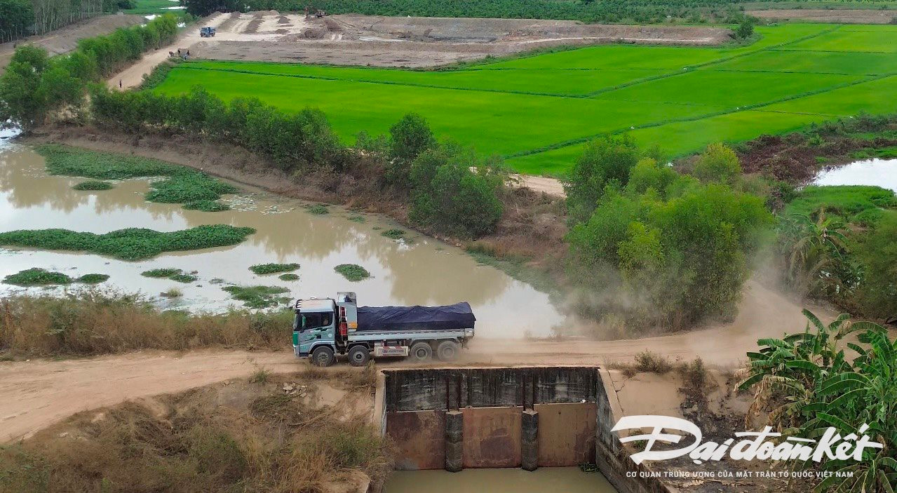 Một xe ben 4 chân, trọng tải khoảng 20 – 30 tấn chở đất khai thác trái phép chạy trên đê ở xã Đức Tín. Ảnh PV Nguyên Vũ chụp ngày 5/4/2024.