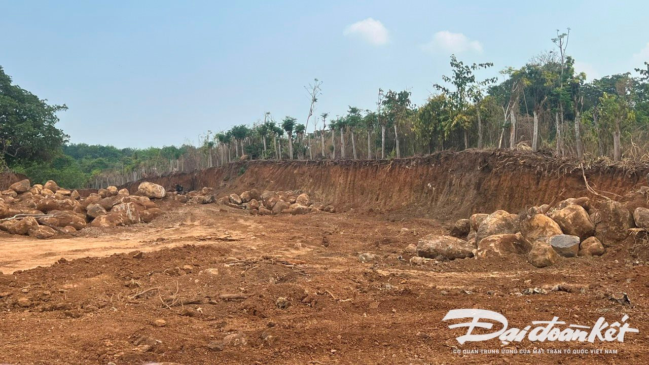 Khu đất bị khai thác trái phép ở thôn 1, xã Tân Hà. Ảnh PV Nguyên Vũ chụp ngày 10/4/2024.