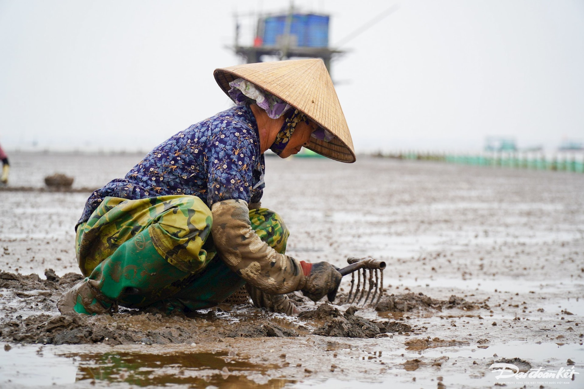 Hành trang của những người đi cào ngao khá đơn giản, bao gồm một chiếc túi lưới, một chiếc rổ nhỏ, một cây đinh ba cầm tay và nón lá trên đầu. Ảnh: Đình Minh