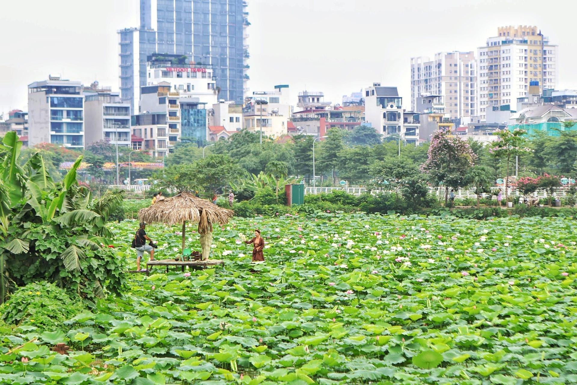 Bên cạnh