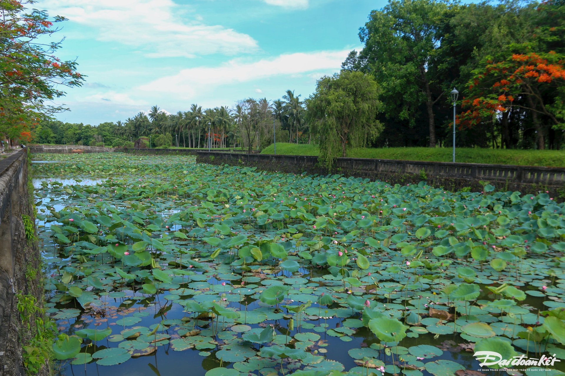 1-thanh-co.jpg