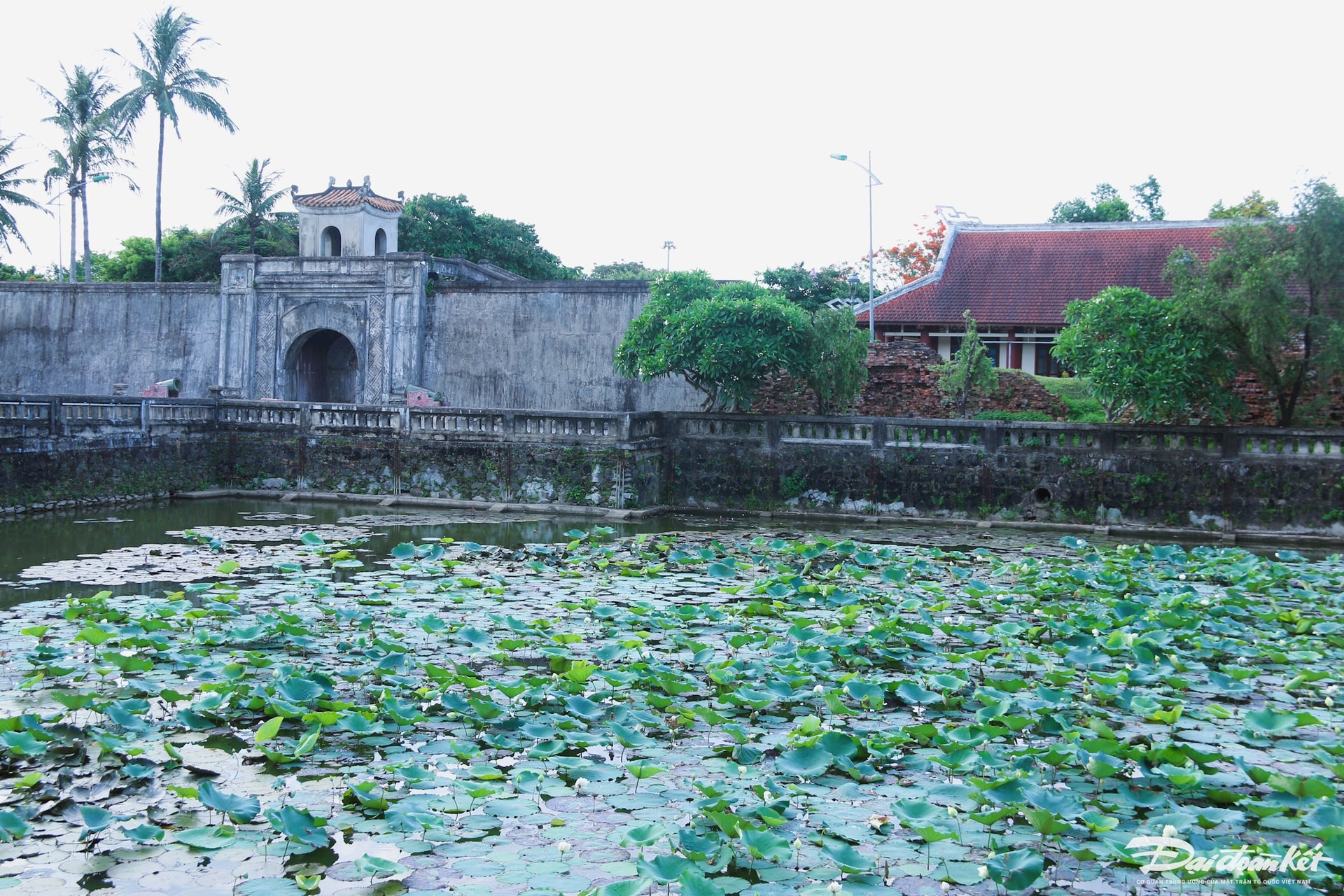 2-thanh-co.jpg