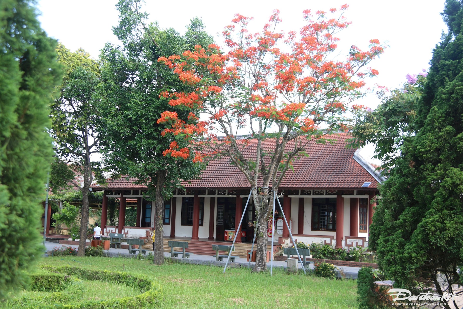 5-thanh-co.jpg
