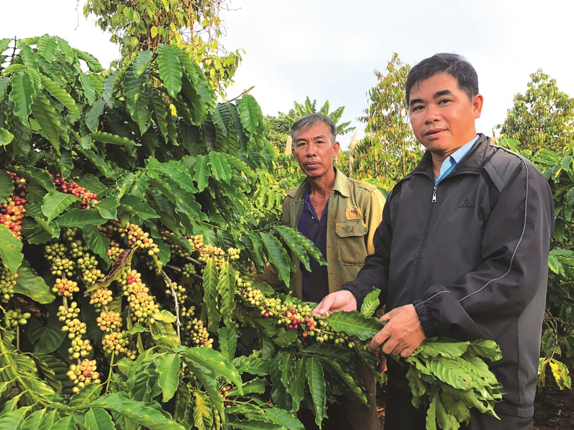  Lãnh đạo huyện Cư M’gar thăm tặng quà người cao tuổi.