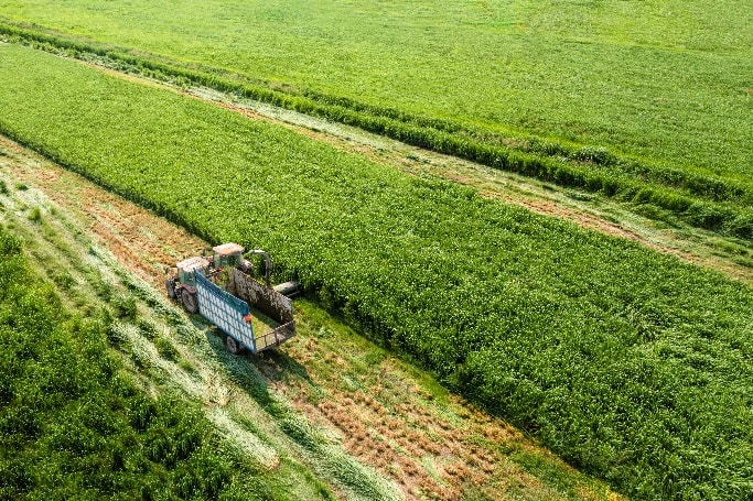  Các trang trại Green Farm của Vinamilk có tiêu chuẩn 70% diện tích xanh, áp dụng mô hình kinh tế tuần hoàn mang lại nguồn thức ăn cho đàn bò hoàn toàn hữu cơ, không sử dụng thuốc trừ sâu hay phân bón hóa học.