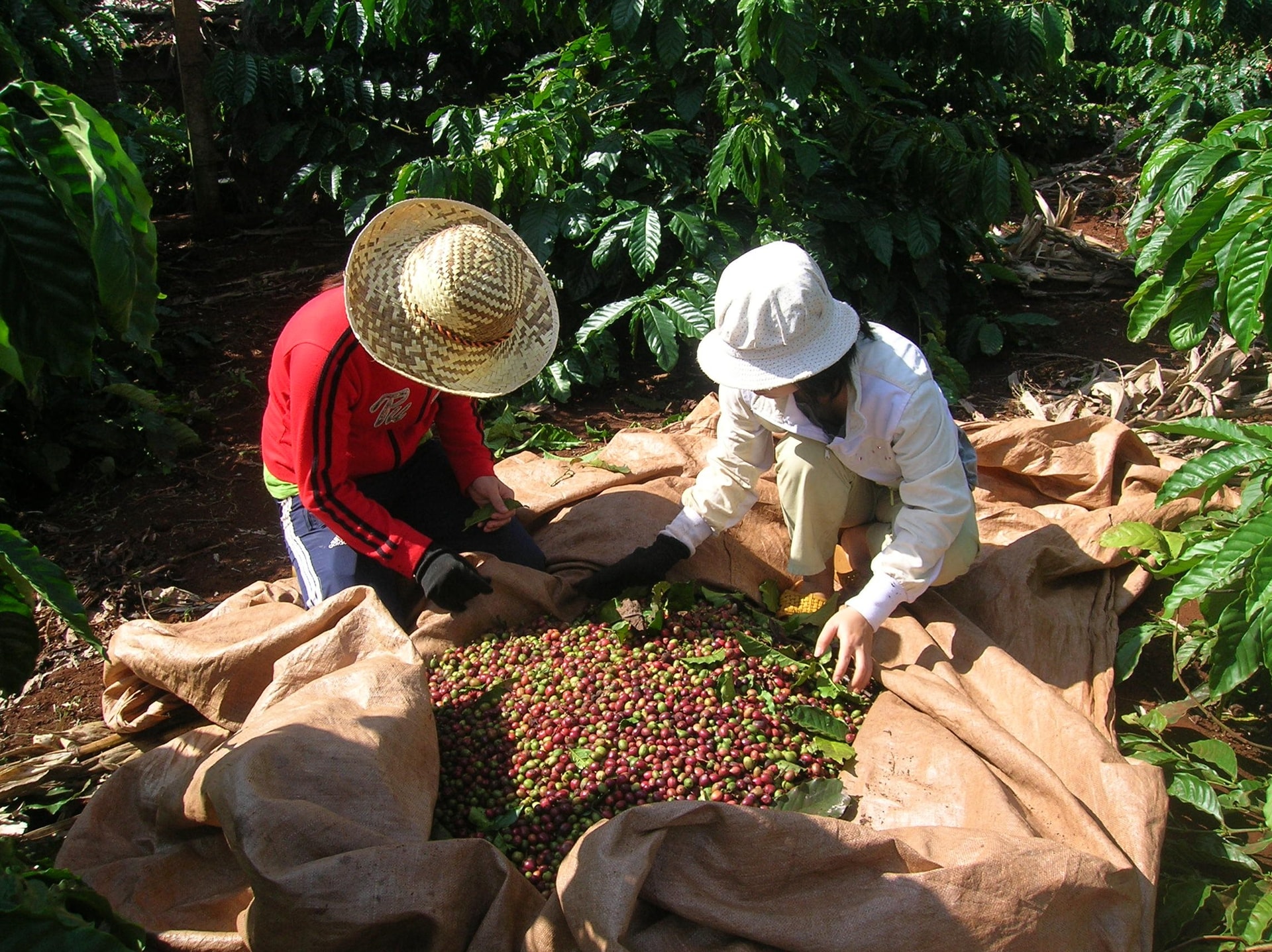 anh-bai-duoi.jpg