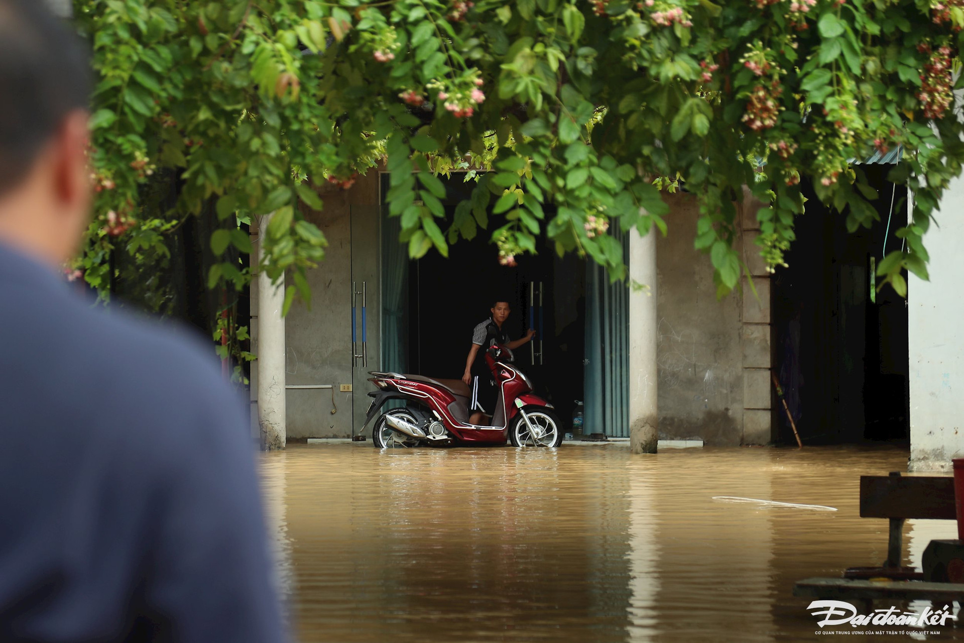 ngap_ung_o_ngoai_thanh_ha_noi-le-khanh20.jpg