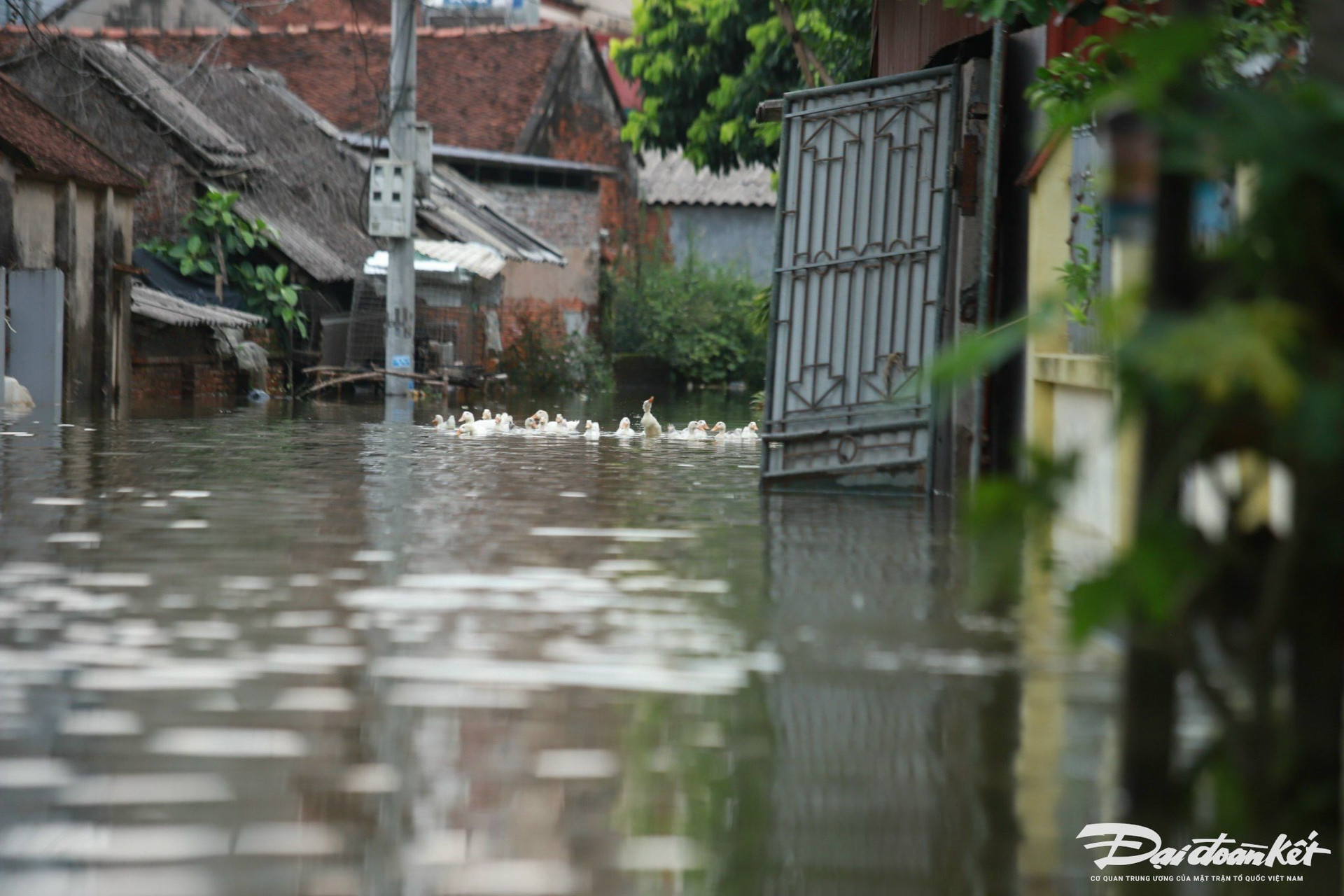 lu_lut-le-khanh20.jpg