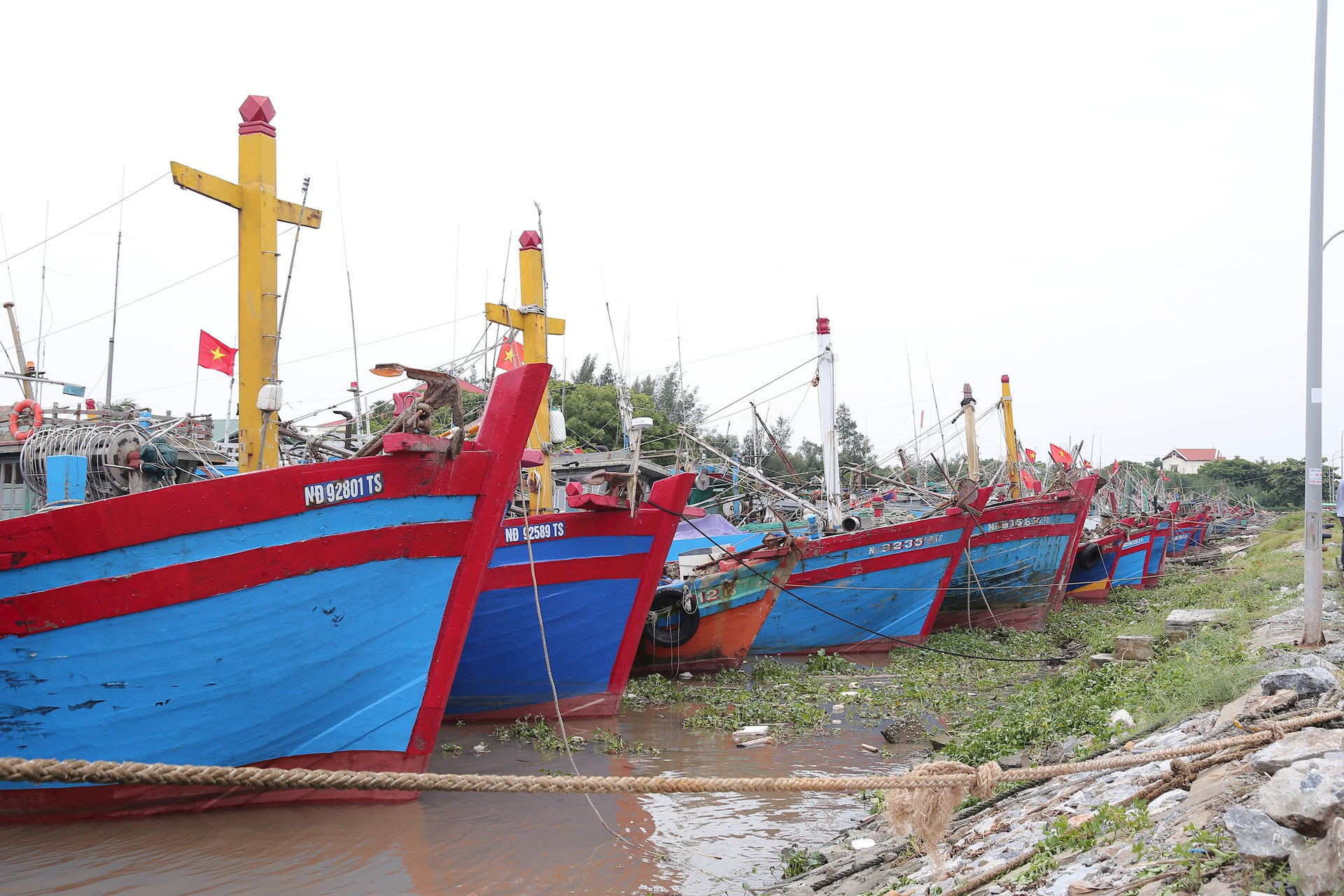 Tàu thuyền đánh cá neo đậu tại khu tránh trú ở cửa sông Ninh Cơ (Nam Định) phòng tránh bão số 3. Ảnh: Duy Hưng.