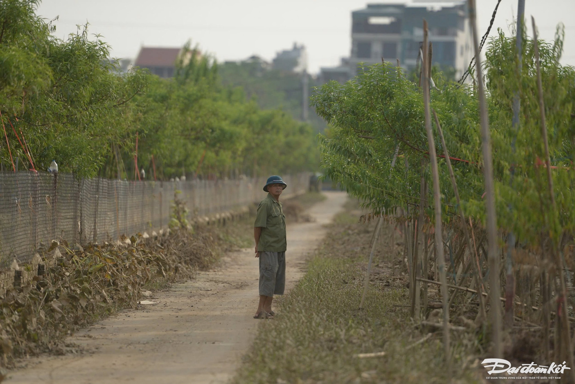 dao_nhat_tan-le-khanh5.jpg