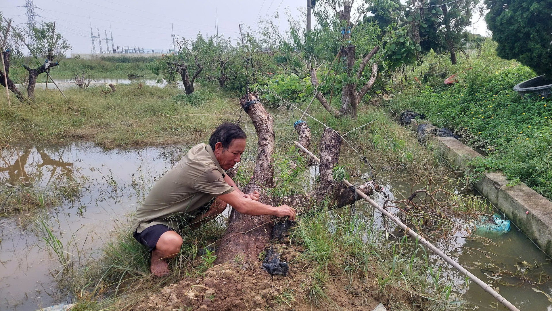 ảnh to bài bên phải