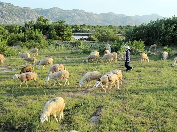 anh-2-thieu-dat-san-xuat-mien-nui-2012-08-09-18-39.jpg