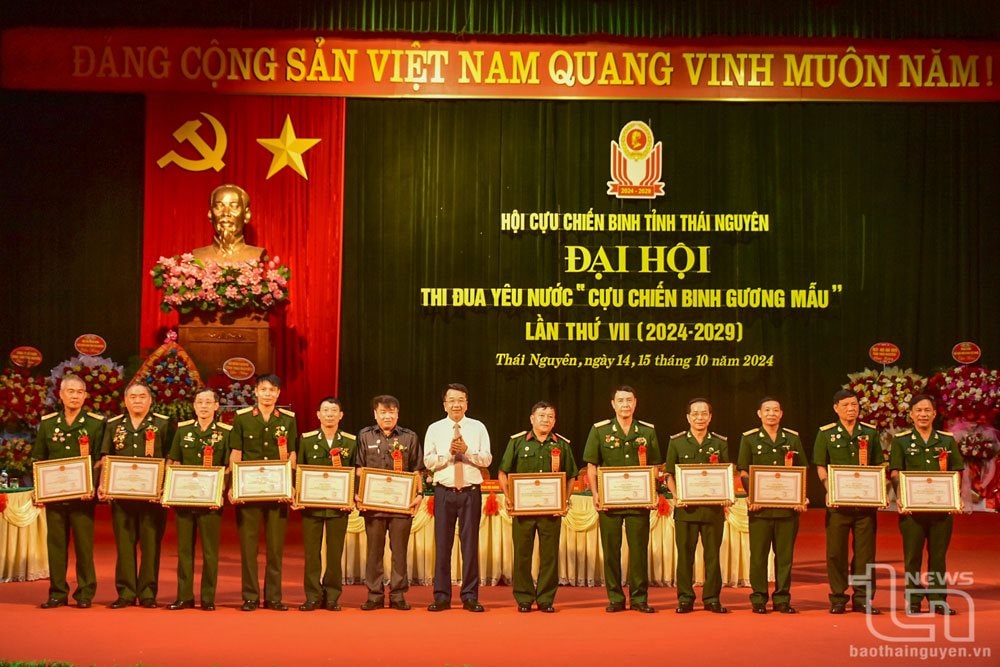 Ông Nguyễn Thanh Bình, Phó Chủ tịch UBND tỉnh, trao Bằng khen cho các tập thể, cá nhân có thành tích xuất sắc trong phong trào thi đua yêu nước. Ảnh Báo TN