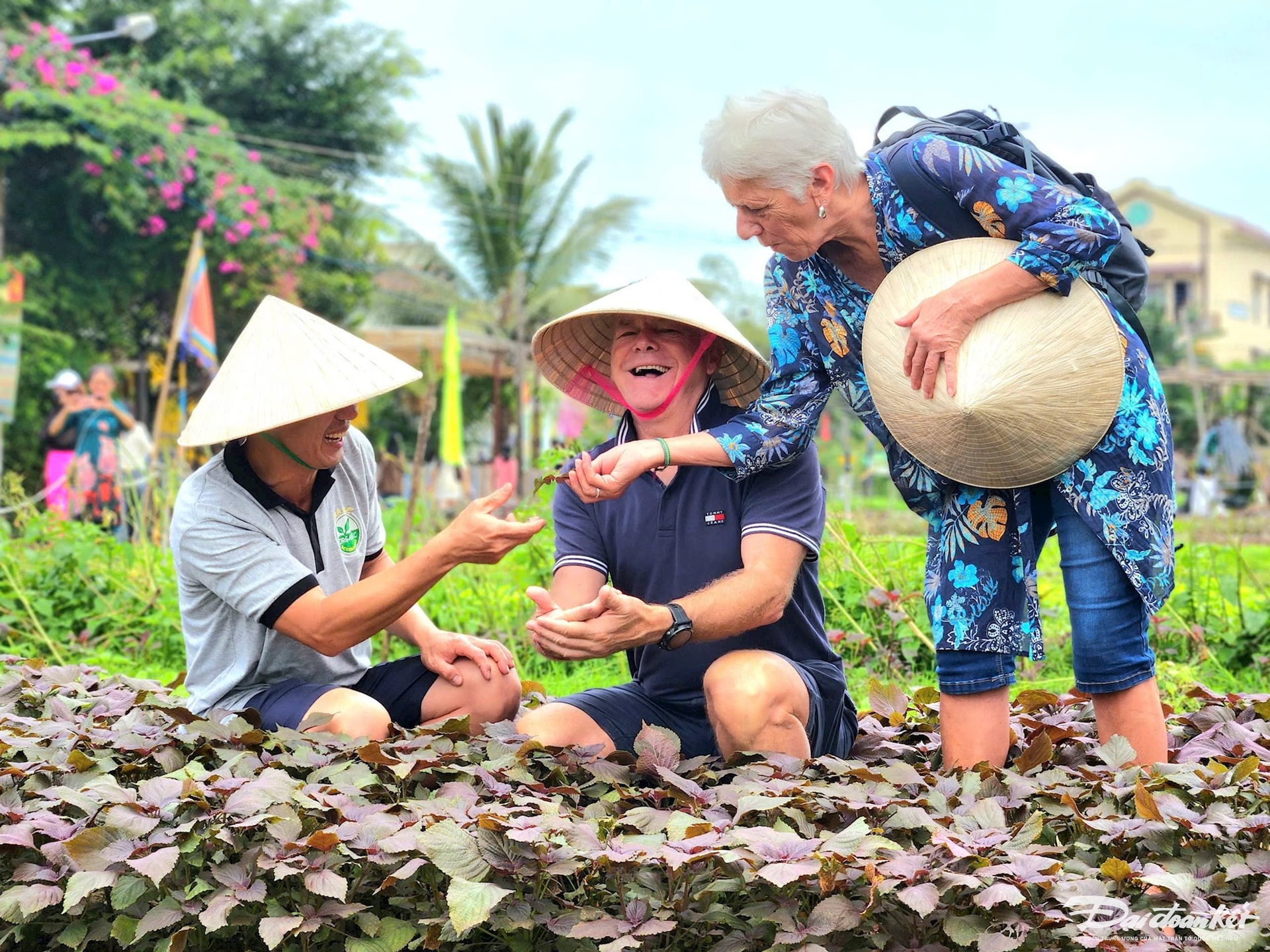 Quảng Nam: Nỗ lực cải thiện môi trường du lịch gắn với bảo tồn đa dạng sinh học