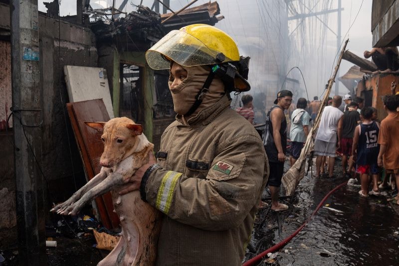 A firefighter carries a dog rescued from a fire in a slum area in Manila.