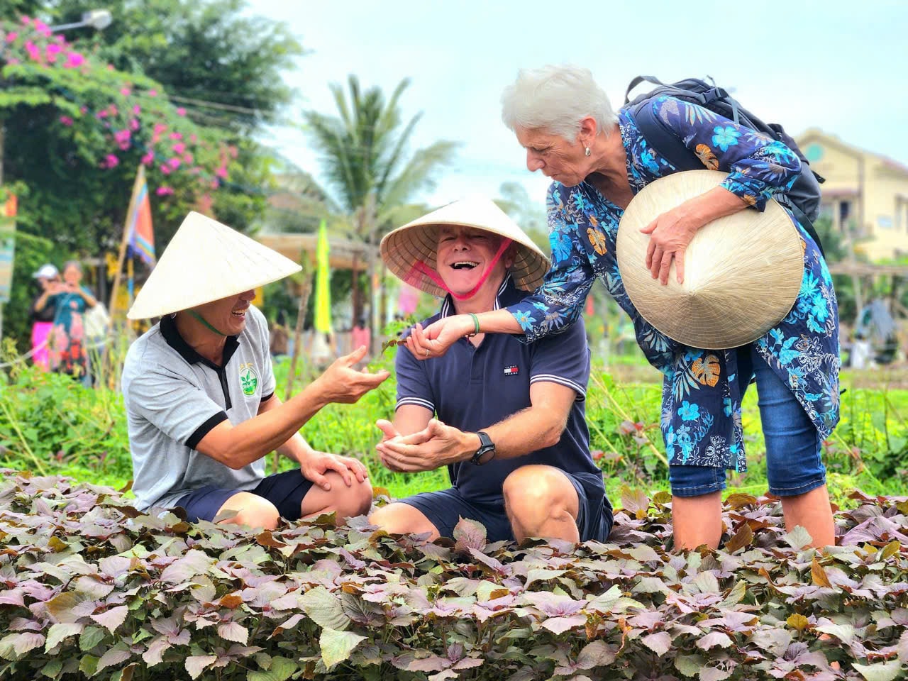 HOI NGHI 4