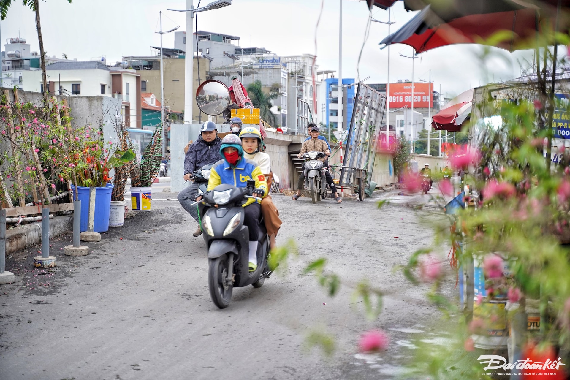 quat_dao-le-khanh10.jpg