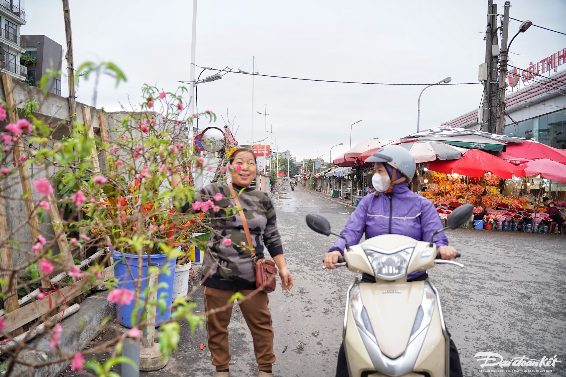 quat_dao-le-khanh17.jpg