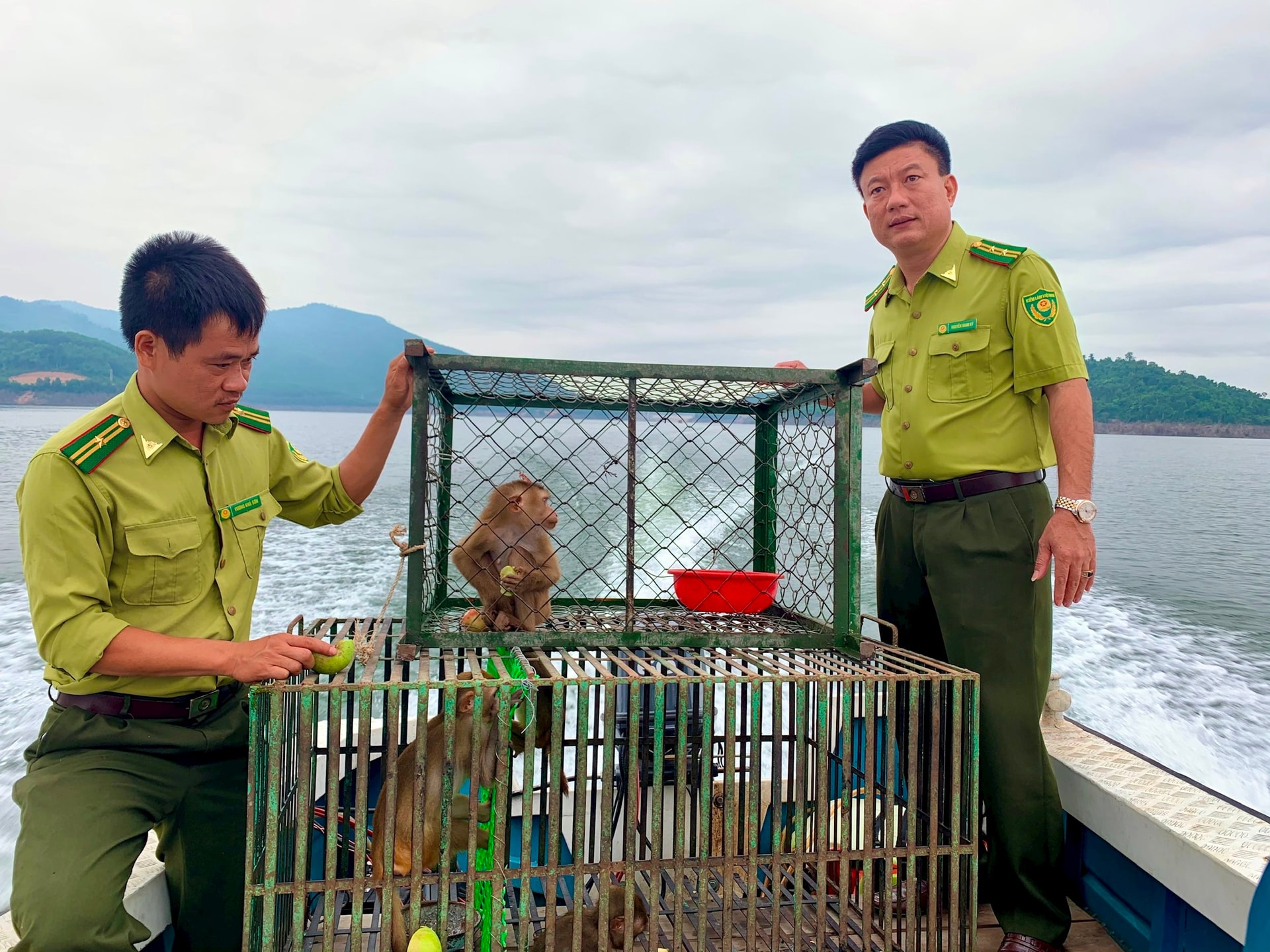 Cán bộ Vườn quốc gia Vũ Quang đưa động vật đã được chăm sóc, cứu chữa thả về môi trường tự nhiên.