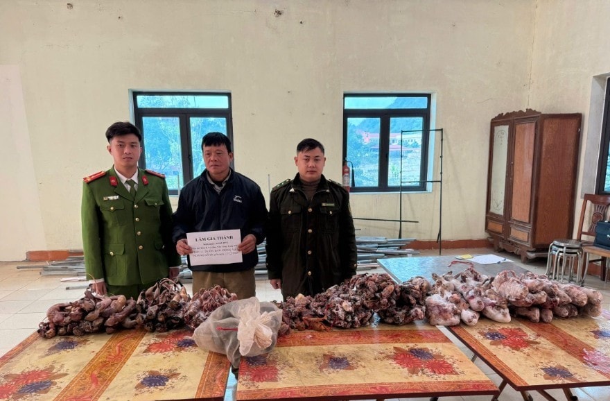 515815_515813_anh_1_lam_gia_thanh_va_cac_tac_vat_bi_luc_luong_chuc_nang_thu_giu_17171817_17193017.jpg