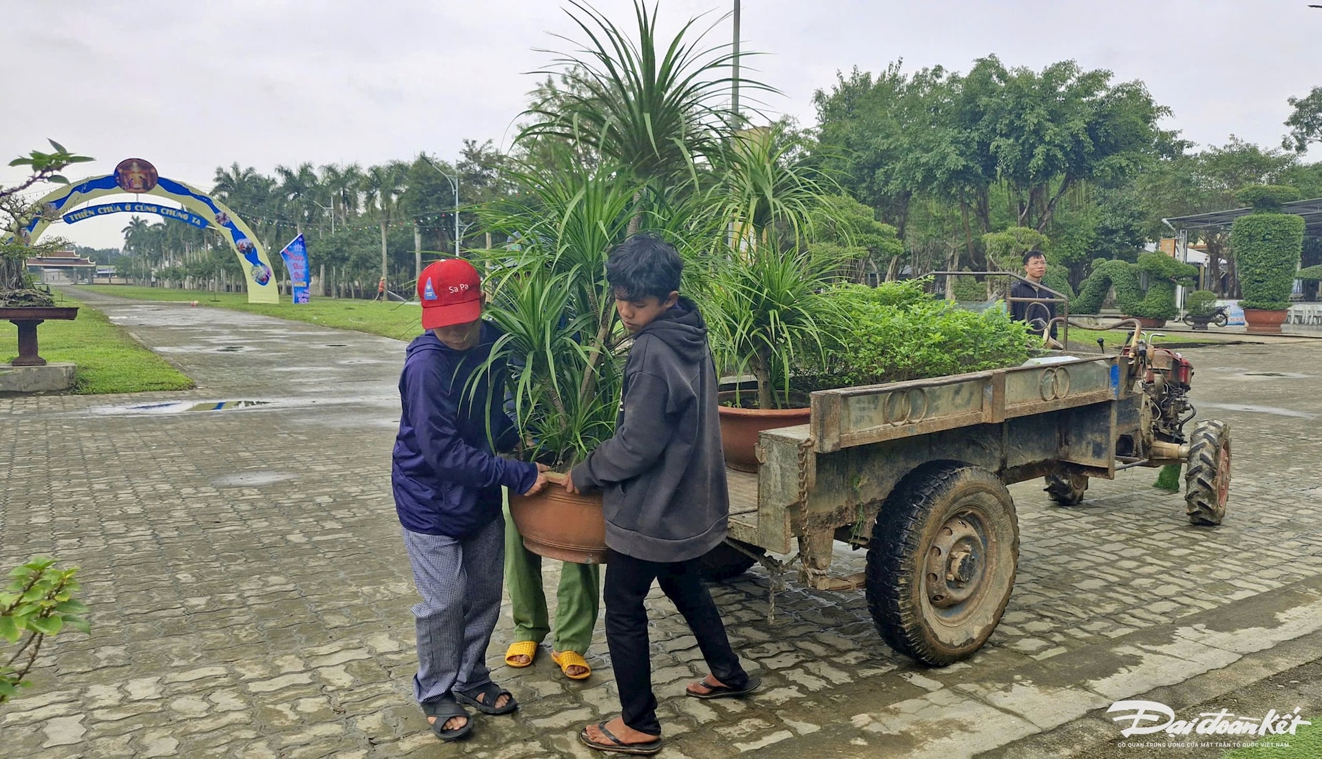 trang-tri-giang-sinh-la-vang-3.jpg