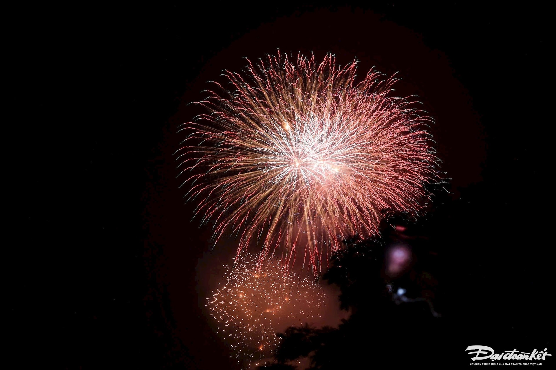 z6185512013940_dc8913fd64382874d986b9e71fd008e7.jpg