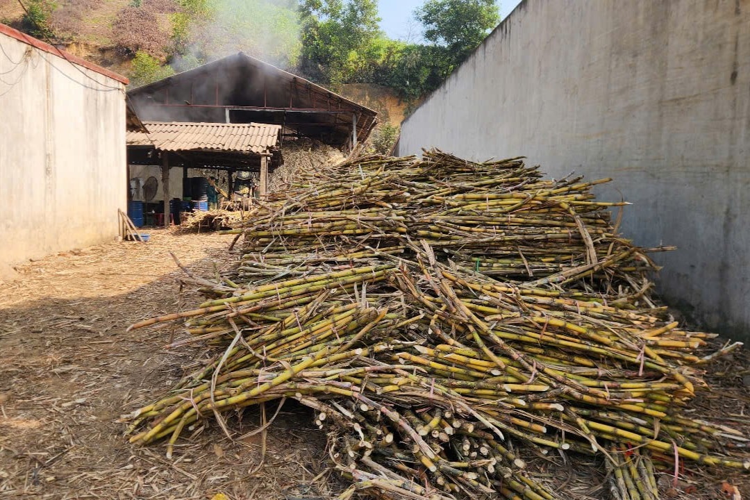 Đến khu phố Lâm Thành (thị trấn Kim Tân, huyện Thạch Thành, tỉnh Thanh Hóa) những ngày này, không khí sản xuất tại đây vô cùng náo nhiệt, các hộ dân làm mật mía đang hối hả, ngày đêm nổi lửa để cung ứng ra thị trường Tết Đến khu phố Lâm Thành (thị trấn Kim Tân, huyện Thạch Thành, tỉnh Thanh Hóa) những ngày này, không khí sản xuất tại đây vô cùng náo nhiệt, các hộ dân làm mật mía đang hối hả, ngày đêm nổi lửa để cung ứng ra thị trường Tếtngày áp Tết Nguyên đán Ất Tỵ 2025, không khí lao động là 