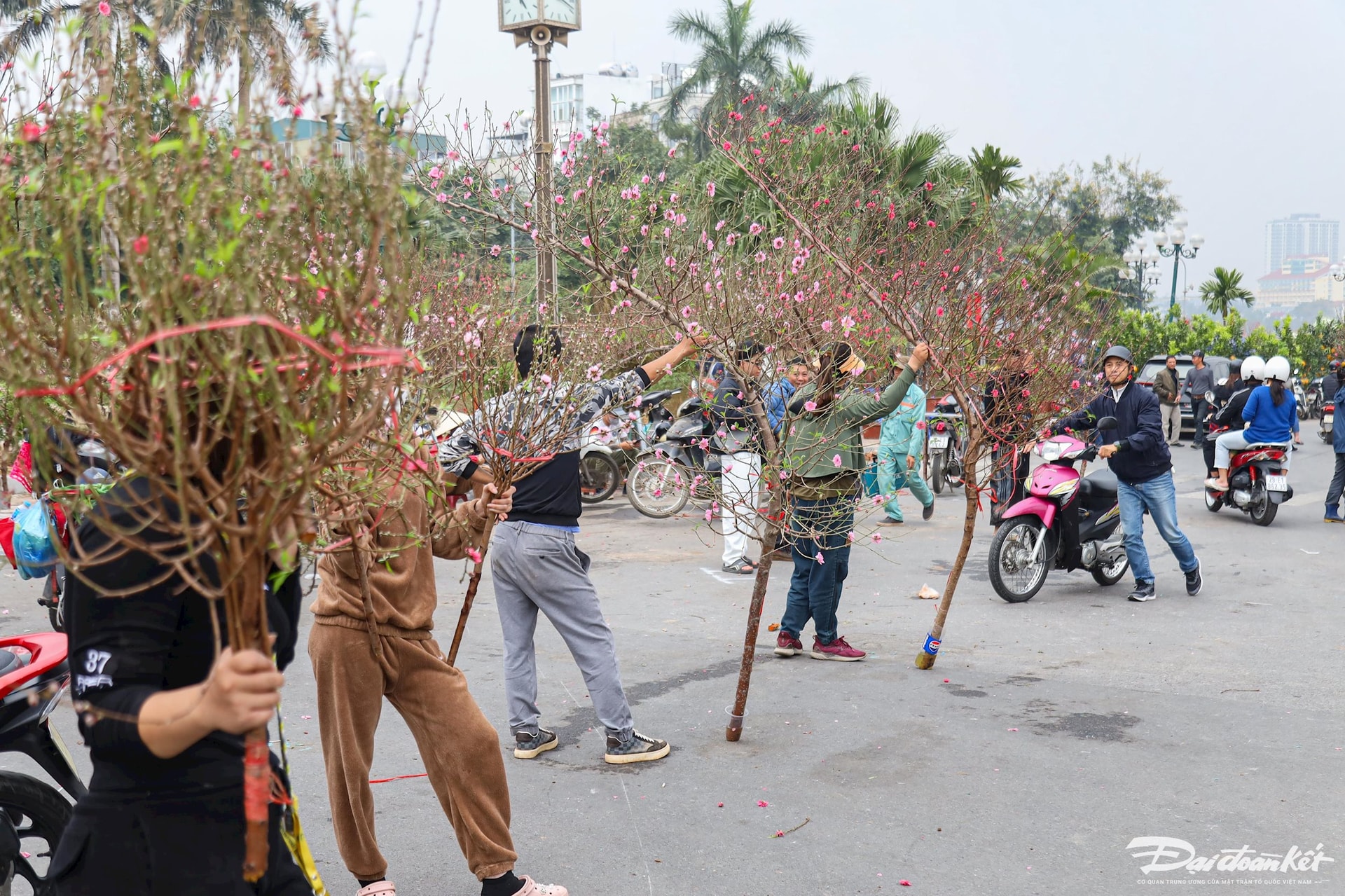 dao_quat-le-khanh5.jpg