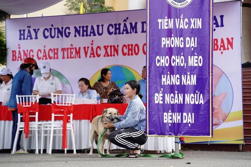 Đưa chó, mèo đi tiêm vaccine phòng bệnh dại. (Nguồn: báo Bình Định)