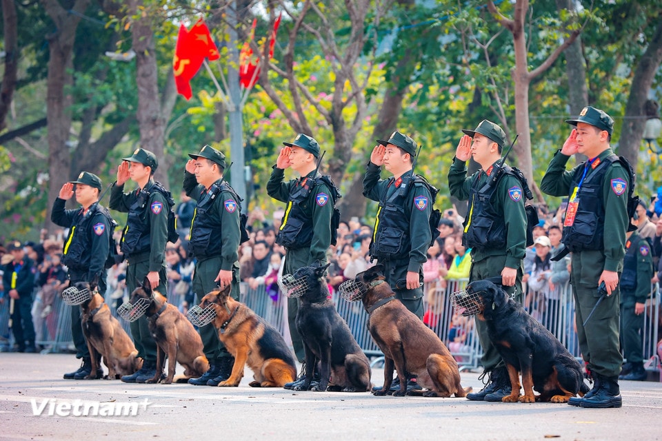 Phần thao diễn công tác huấn luyện, sử dụng chó nghiệp vụ tham gia đấu tranh phòng chống tội phạm của lực lượng Cảnh sát cơ động. (Ảnh: Hoài Nam/Vietnam+)