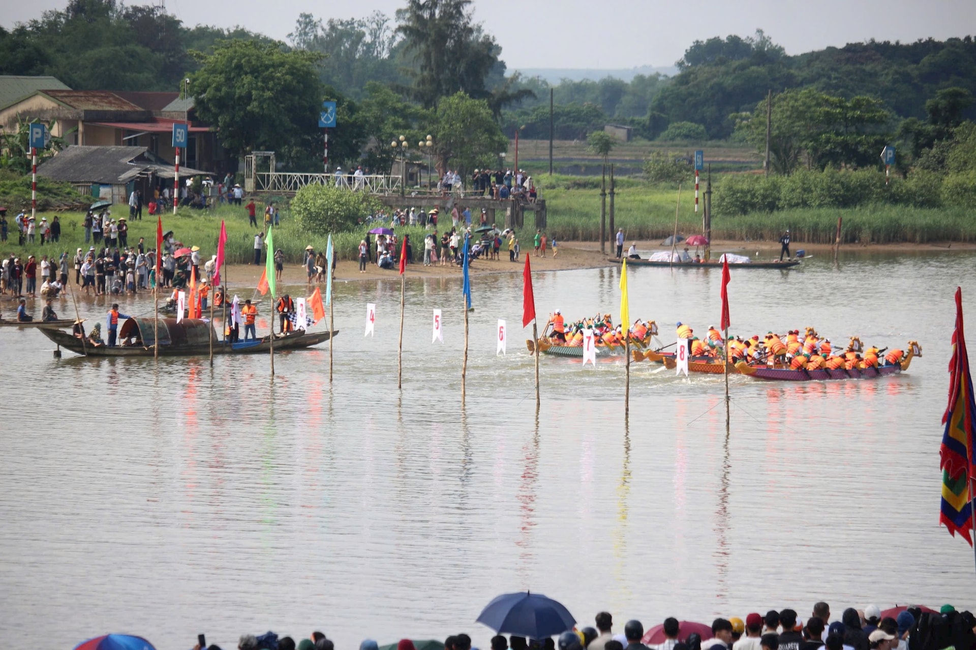 dua-thuyen-5.jpg