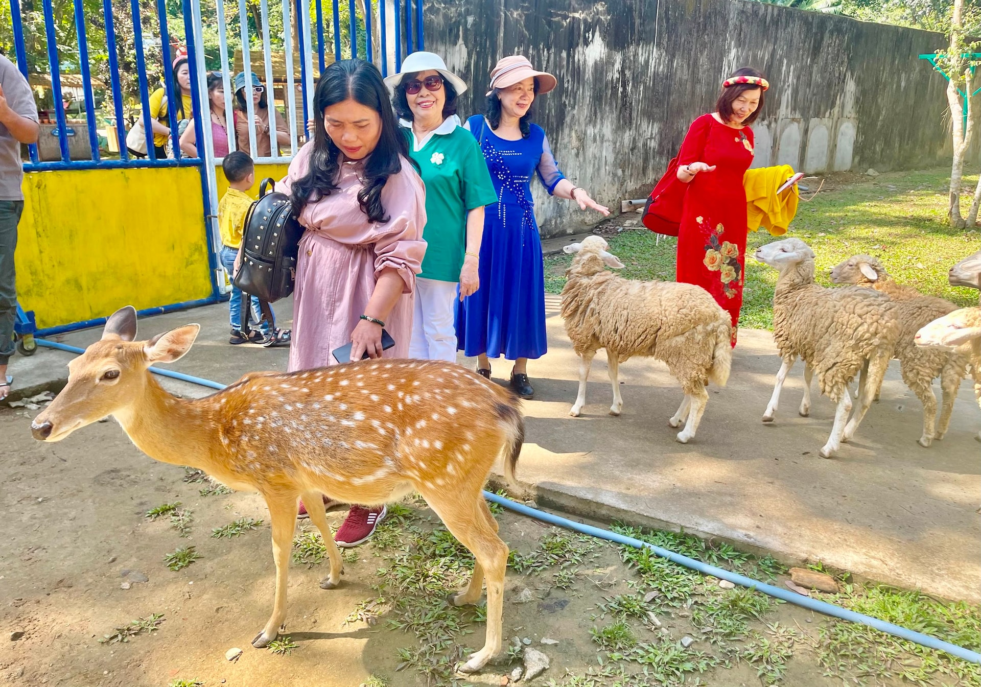 bai chinh