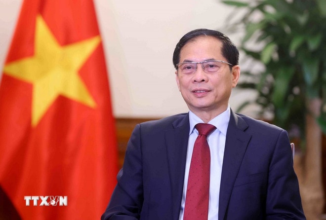 ttxvn-pho-thu-tuong-bo-truong-ngoai-giao-bui-thanh-son.jpg