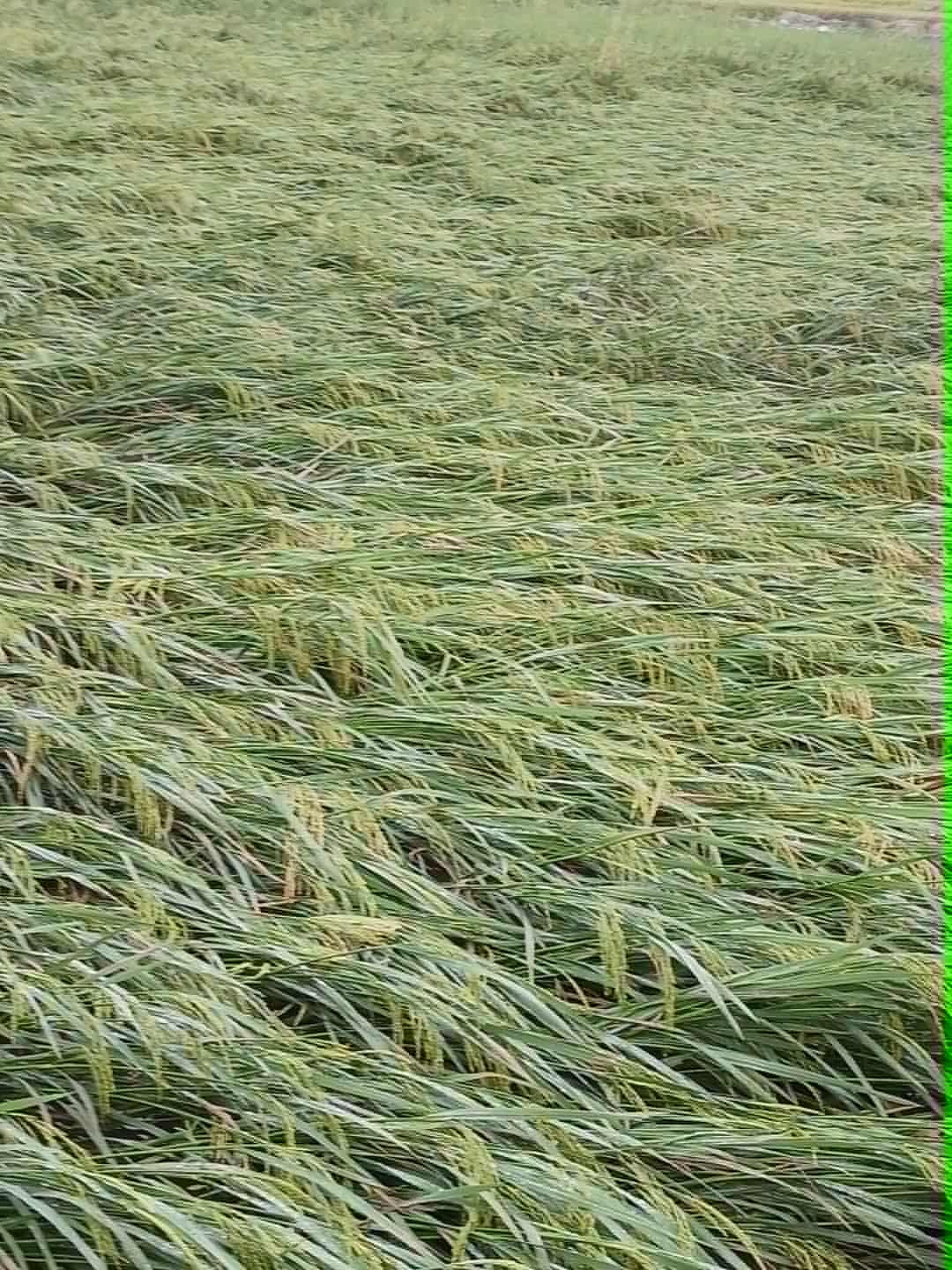 download.jpg