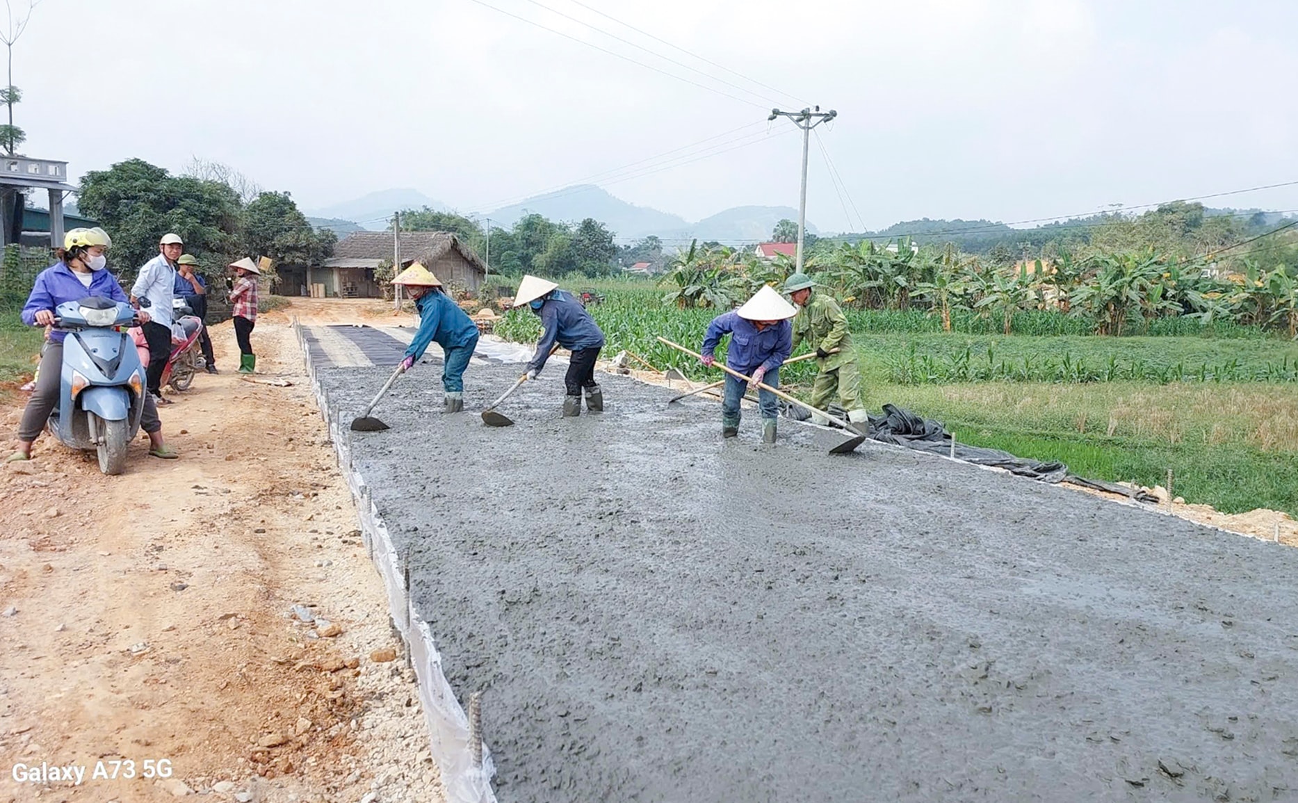 bai chinh