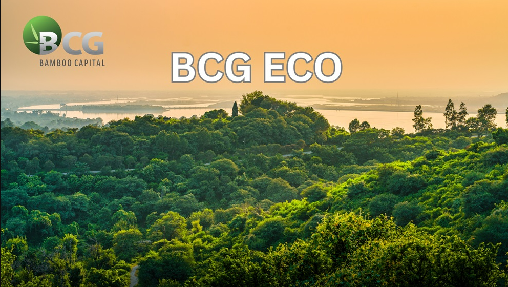 Bamboo Capital bị xử phạt do 'ém' thông tin ddk
