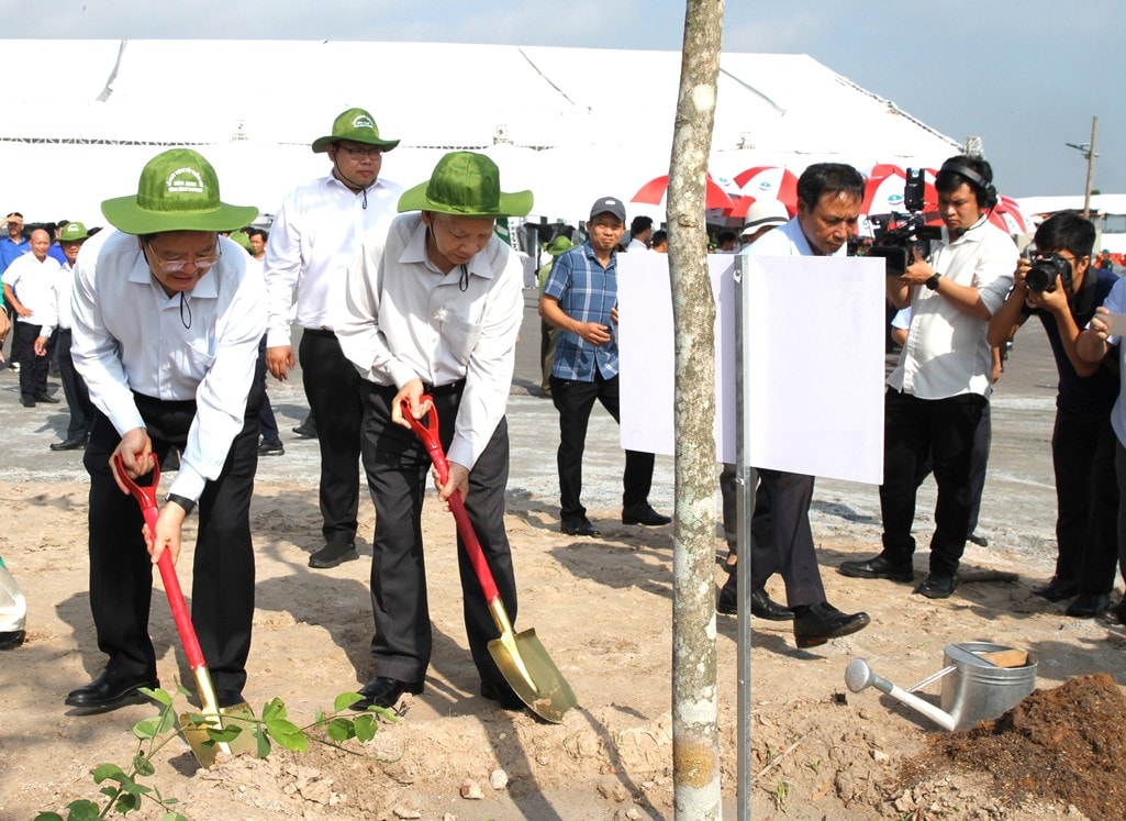 hinh-4-ptt-trong-cay-17474543270061055577014.jpg