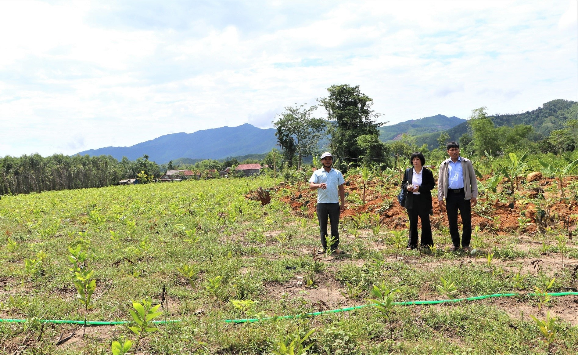 ảnh to bài trên