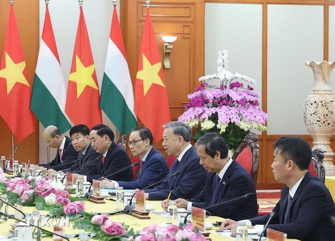 ttxvn-tong-bi-thu-to-lam-hoi-kien-tong-thong-hungary-2805-2.jpg