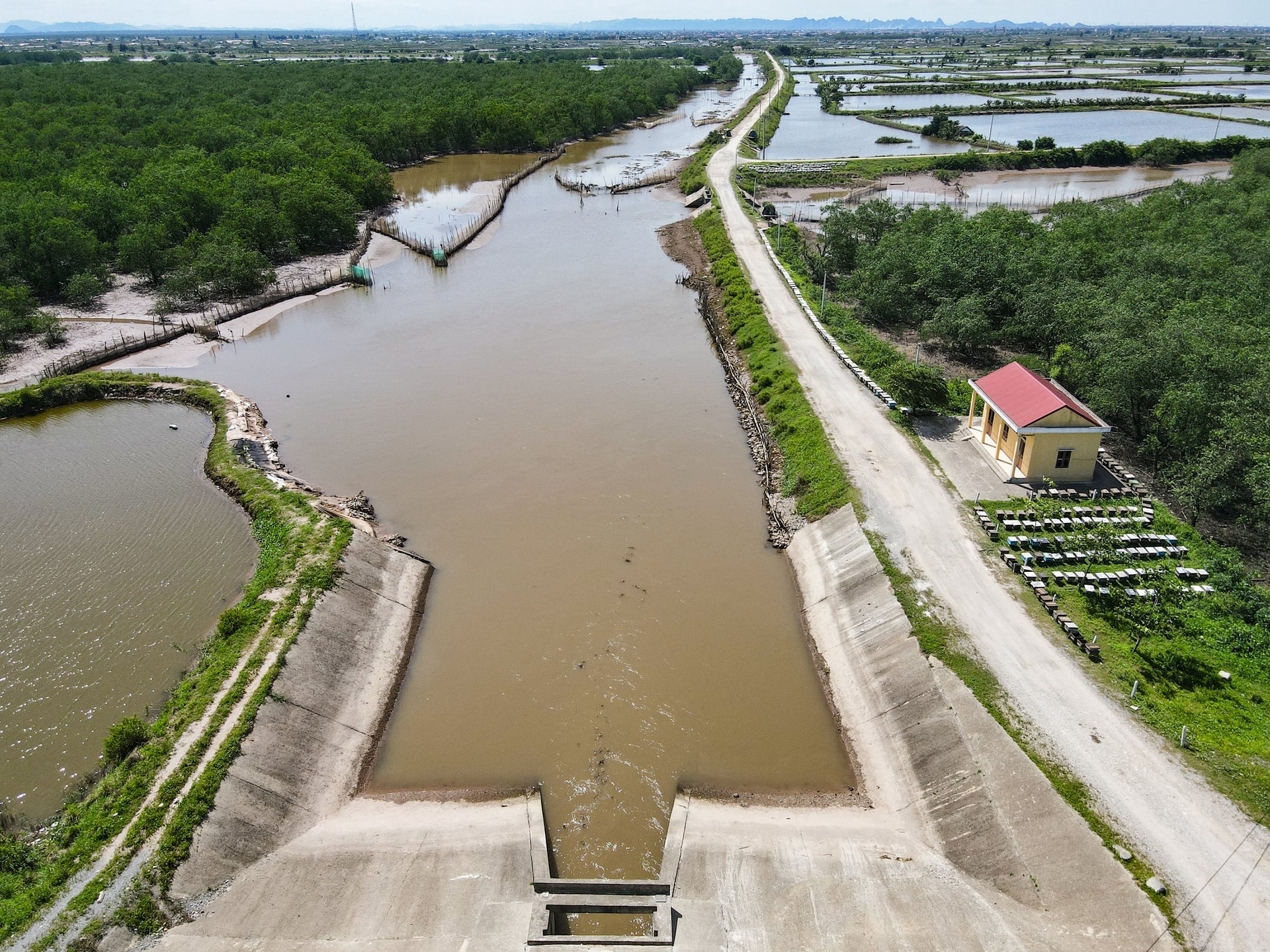 dji_fly_20250602_141414_694_1748848471180_photo-065ae7c9174007f7c6ed93190f5bfd38.jpg