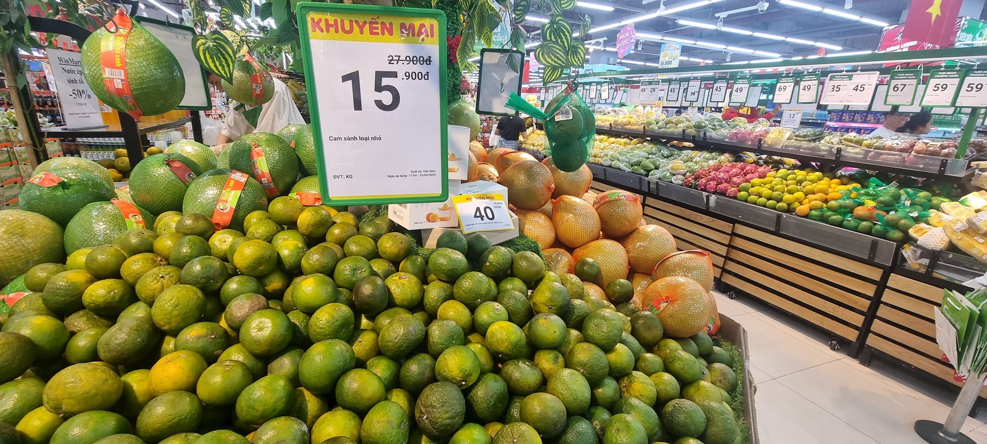 duoi.jpeg