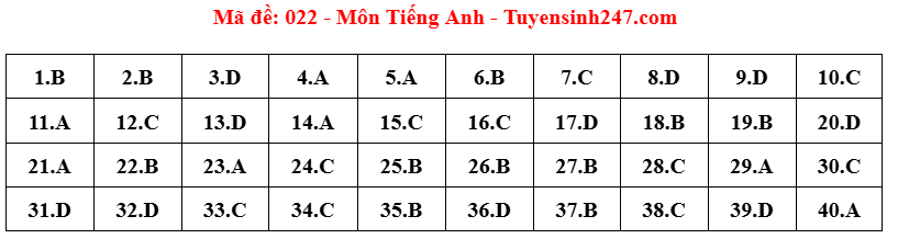 đề 11