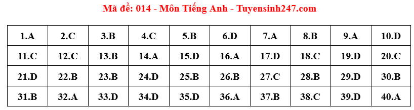 đề 8