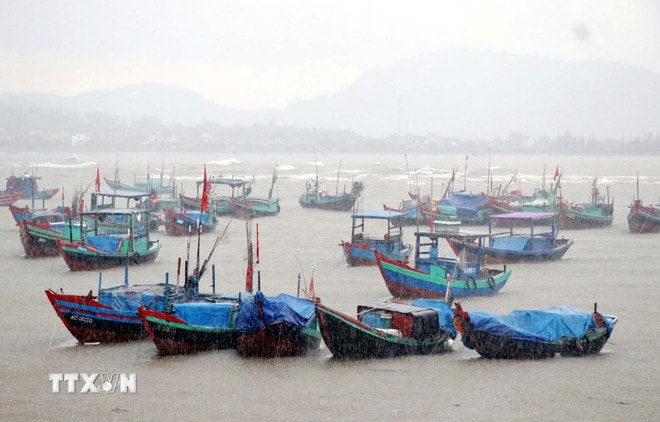 ttxvn-con-bao-so-01-luc-16h-ngay-126-3.jpg