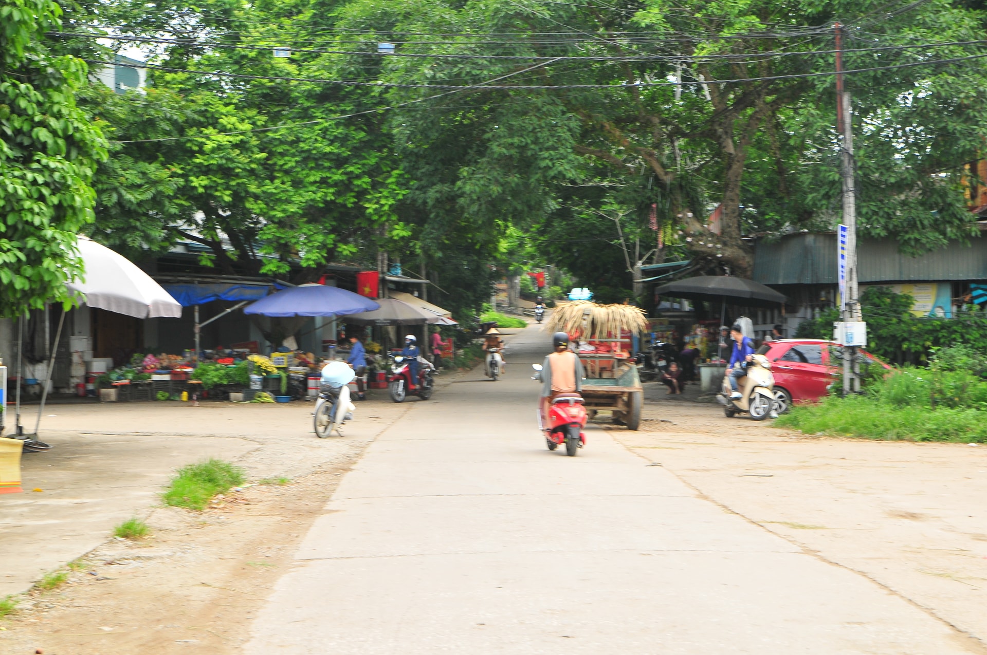 dsc_9954.jpg