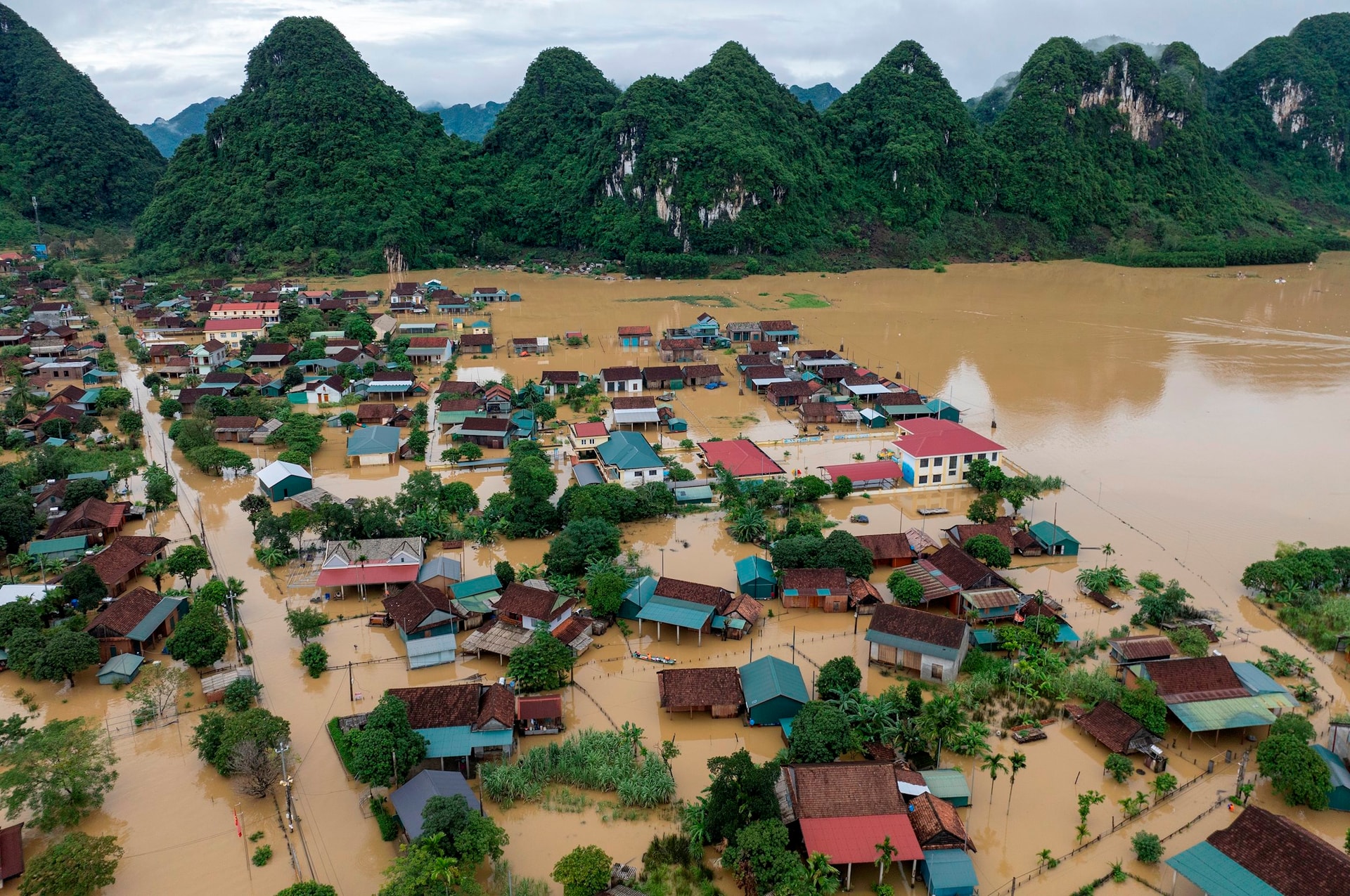 tan hoa 2