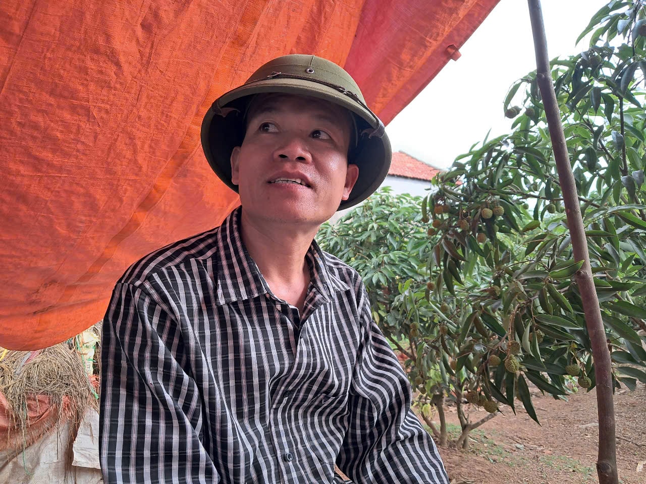 Ông Ngo Van Phuong