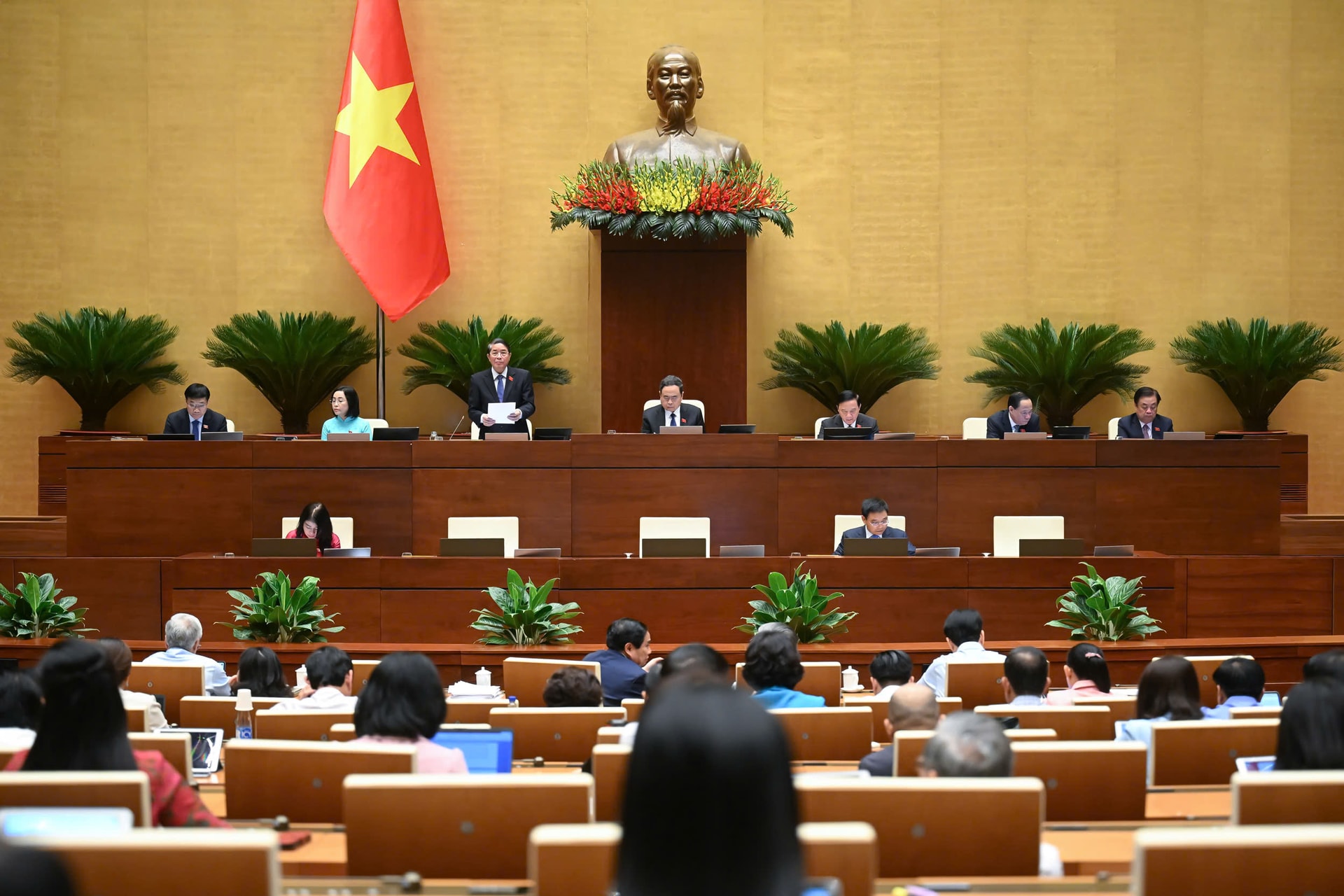 ảnh chính