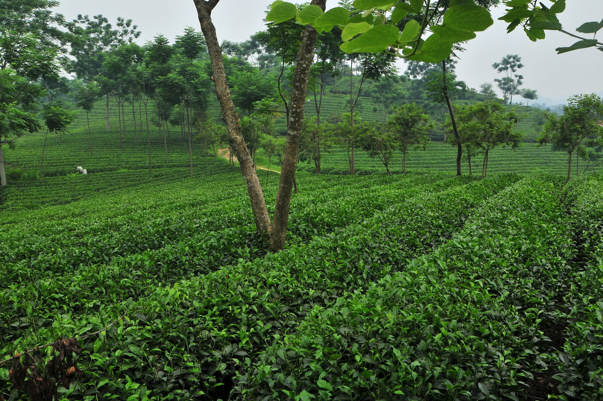 dsc_9994.jpg